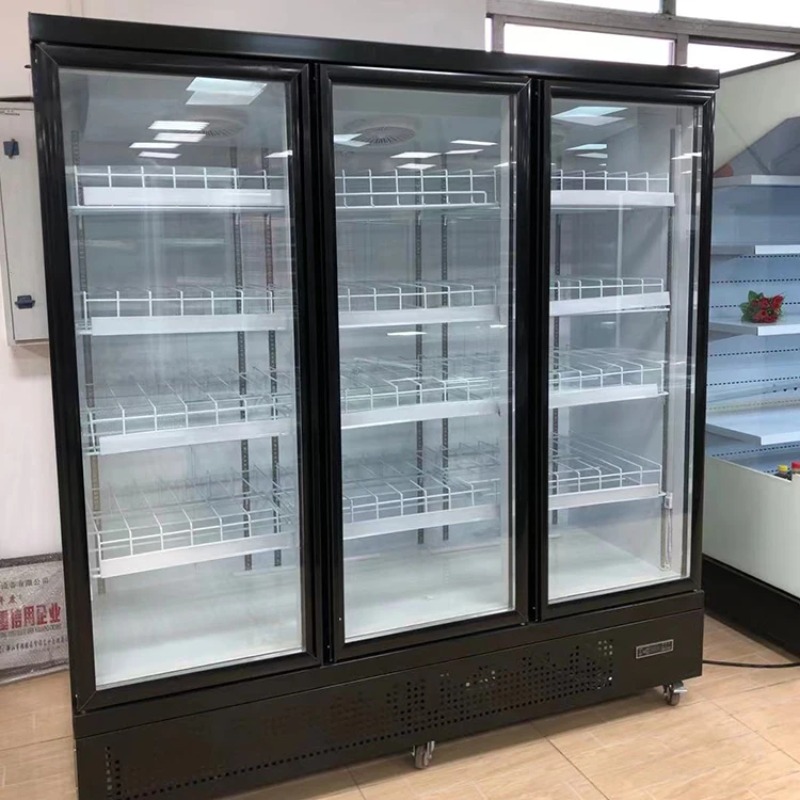 Szklana drzwiowa chłodziarka d – Wine Beer Fridge Cabinet recenzja i cena