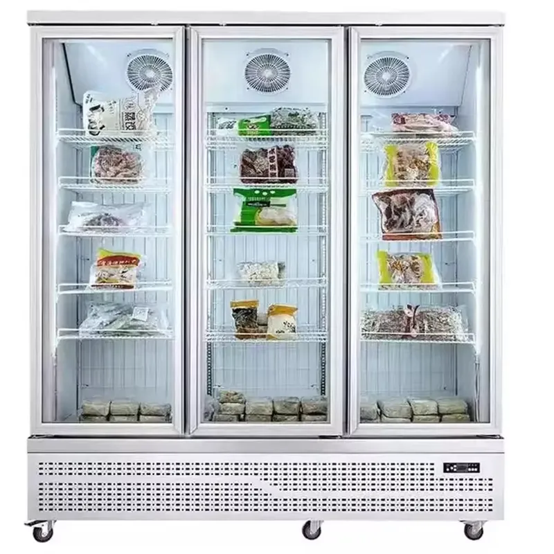 Szklana drzwiowa witryna chłod – Wine Beer Fridge Cabinet recenzja i cena