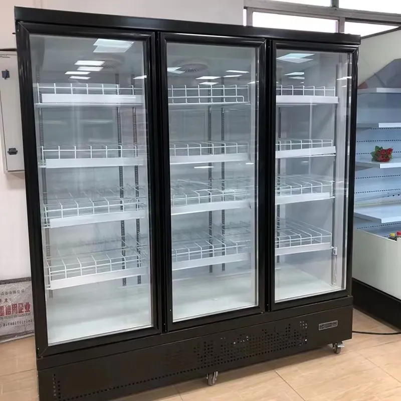 Szklana drzwiowa witryna chłod – Wine Beer Fridge Cabinet recenzja i cena