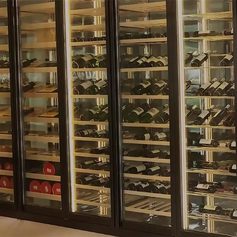 Elektryczna lodówka na wino z  – Wine Beer Fridge Cabinet recenzja i cena