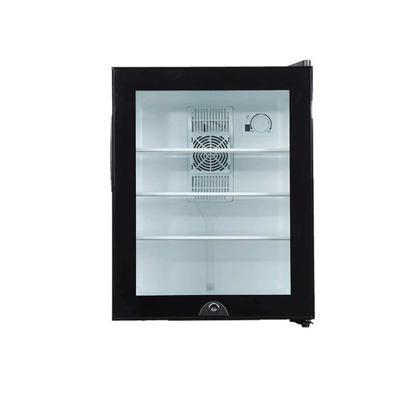 Mini lodówka chłodziarka 40L z – Wine Beer Mini Fridge recenzja i cena